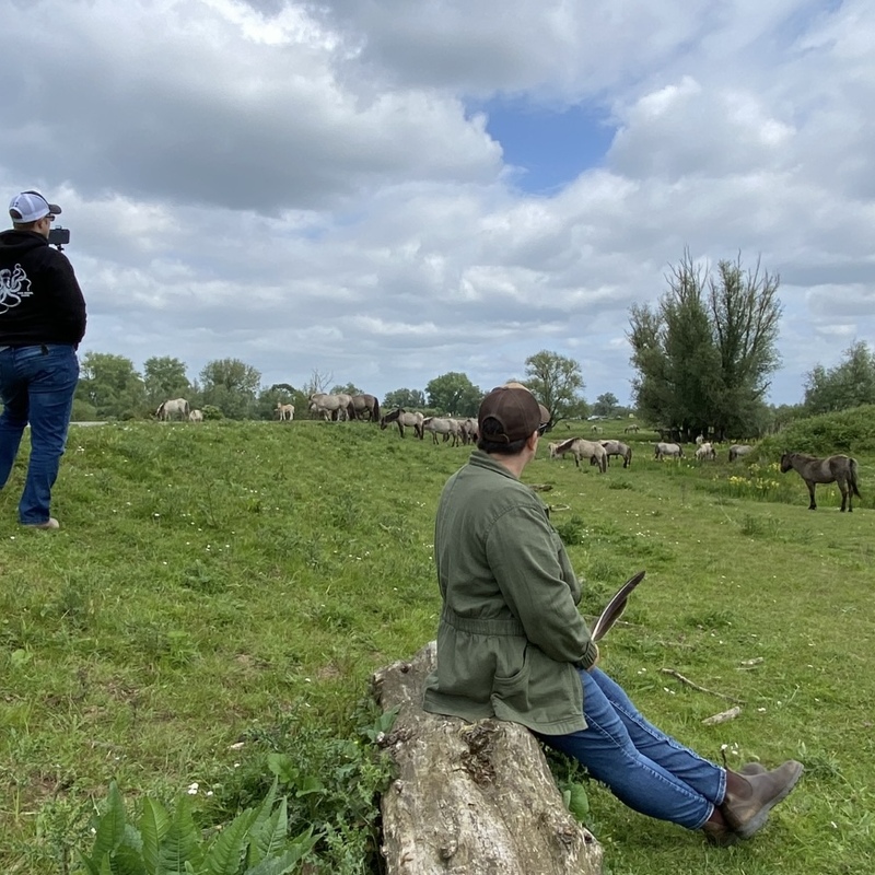 Sharon observeert en leert van de wilde Koniks op Loevestein in 2023. Laura (links) filmt alles.