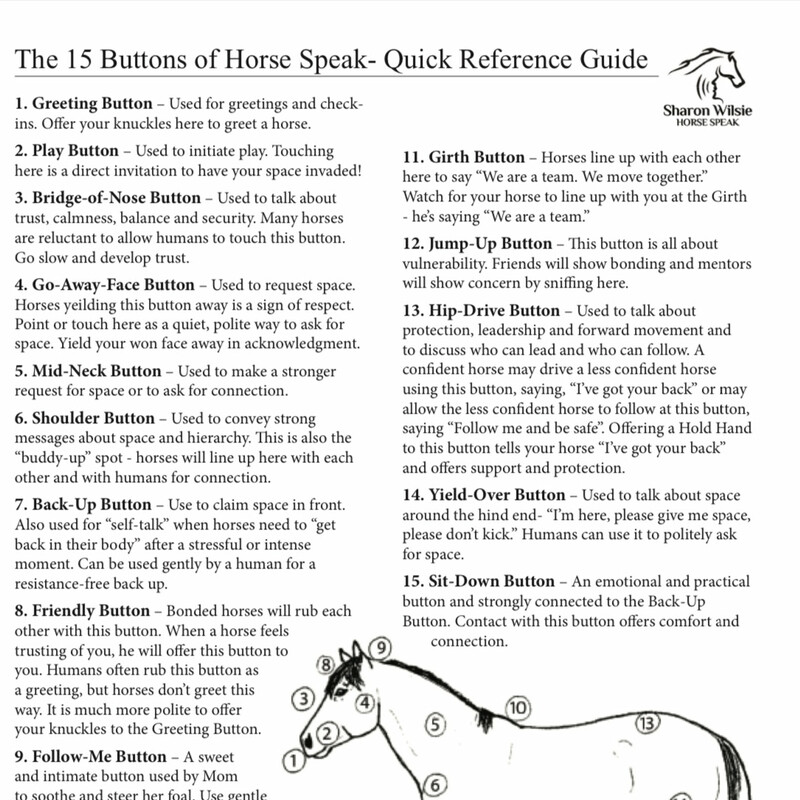 De 15 communicatie Knoppen.