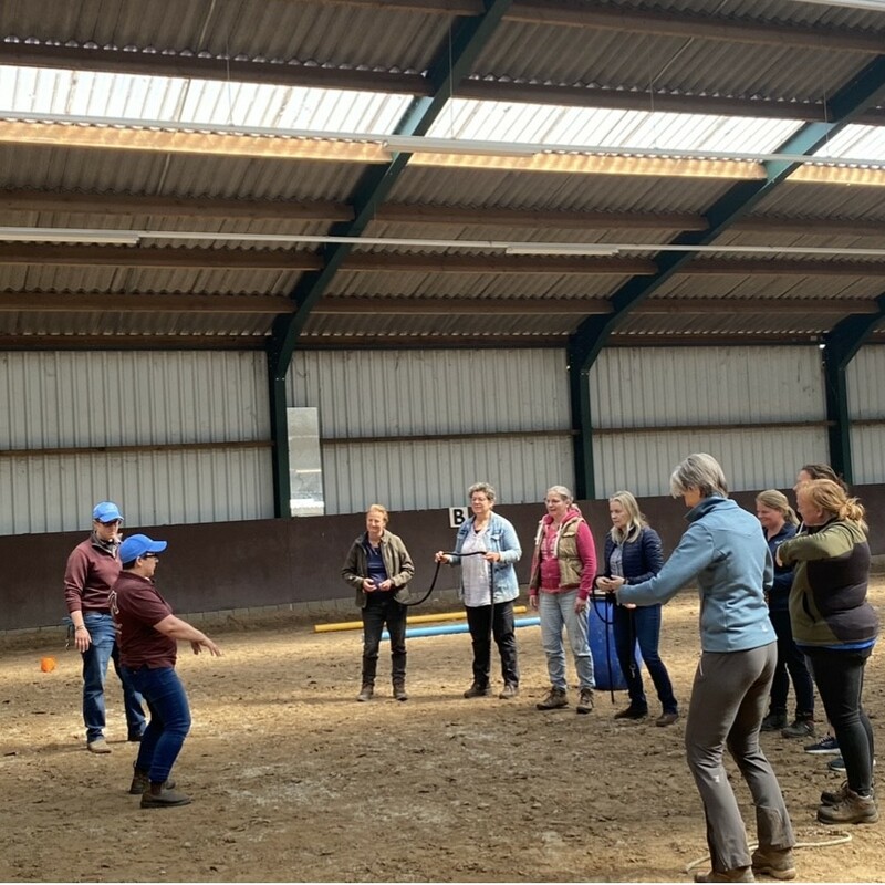 Bodyawareness en Tai Chi, dressuur voor de mens.